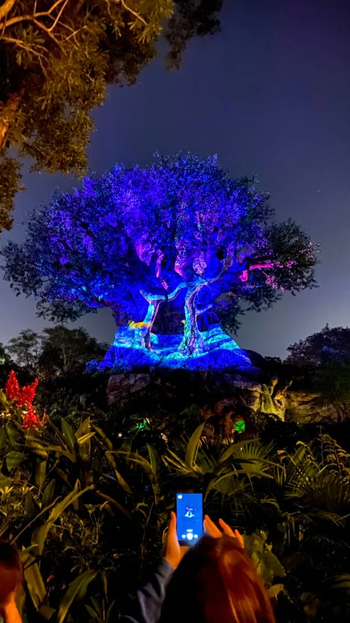 Tree of Life Awakenings Christmas