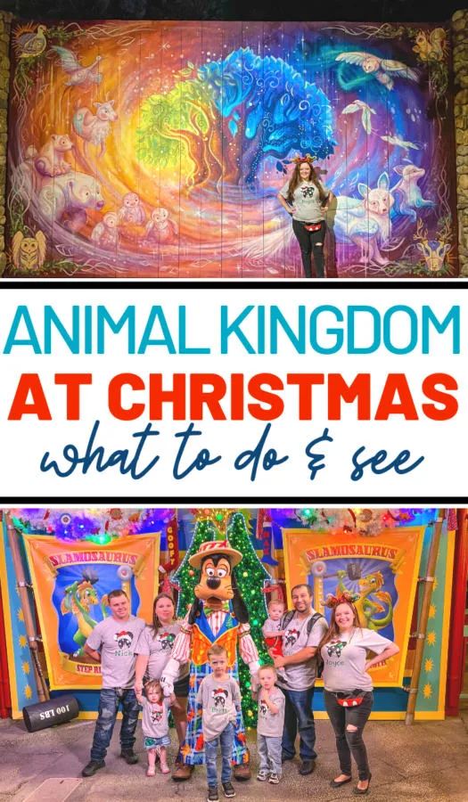 What to do at Animal Kingdom Christmas Time