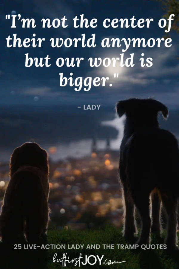 Best Lady and The Tramp Disney+ Movie Quotes