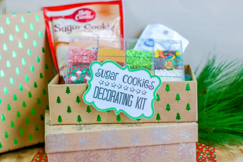 DIY Cookie Decorating Kit