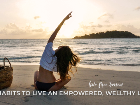 Image for WARRIOR UNIVERSITY