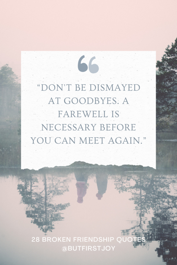 Don't be dismayed at goodbyes, a farewell is necessary before you cna meet again quote
