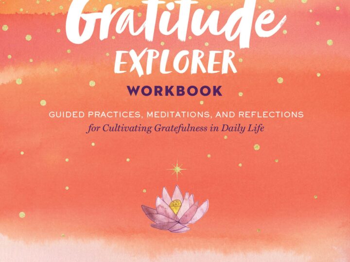 Image for The Gratitude Explorer Workbook - Storey Publishing