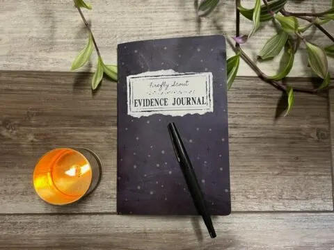 Image for Creative Intuition Based Personal Growth Journal Tracker for evidence proven magical life &mdash; Firefly Scout