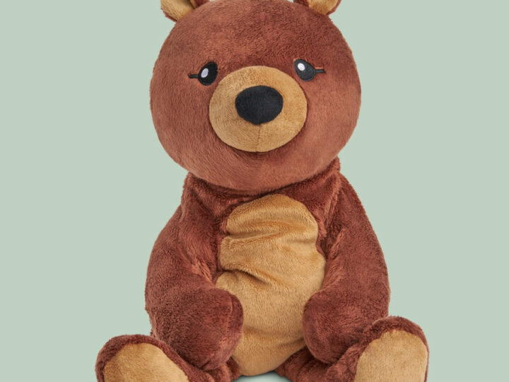 Image for Darby the Bear