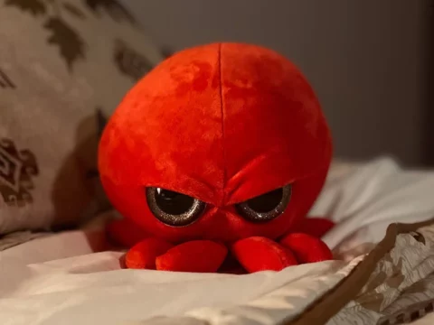Image for Grumpy Baby Octopus