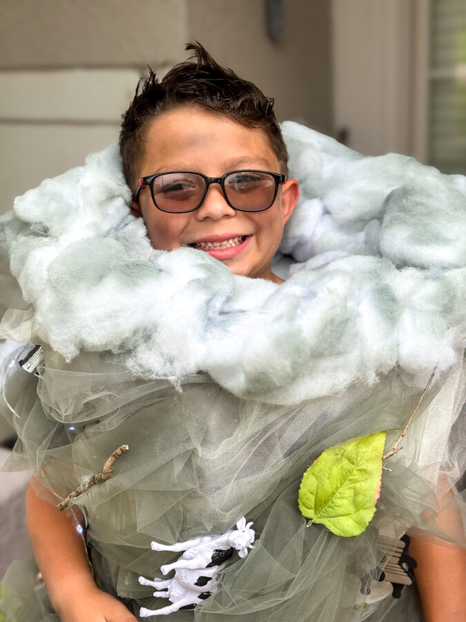 A child dressed in a cloud or storm-themed costume, featuring fake cotton clouds, plastic bugs, and a small cow hanging from the outfit, stands in front of a decorated door.