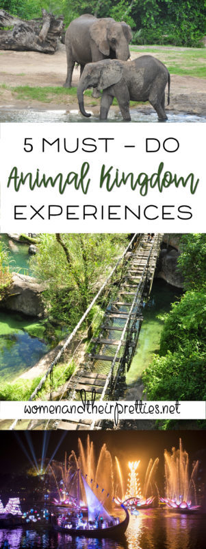 5 Must-Do Animal Kingdom Experiences