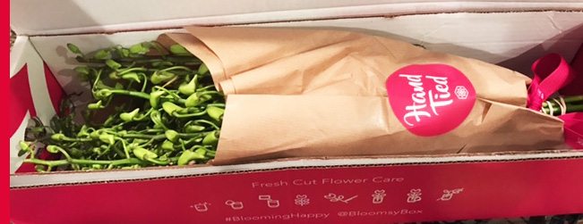 bloomsybox-bride-to-be-subscription-box