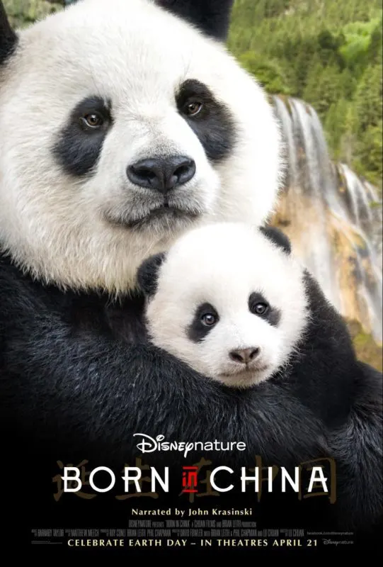 Born In China Review – 5 reasons to take your family to see Born in China in theaters, especially during opening week #BornInChina