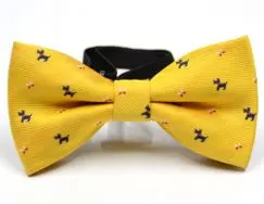 Yellow Boy Bow Tie baby