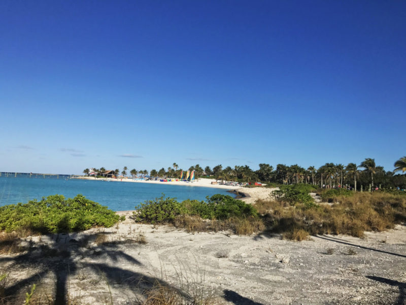 I ran my first 5k – on Disney's Private Island! My Castaway Cay 5k experience & why you should run (or walk) this 5k too! #DisneySMMC #DisneyRun