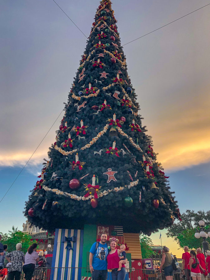 holiday characters at magic kingdom