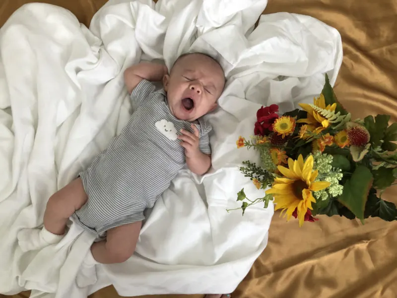 Newborn Photo Tips
