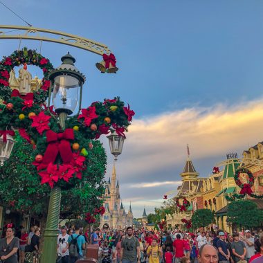 Magic Kingdom Christmas Decor