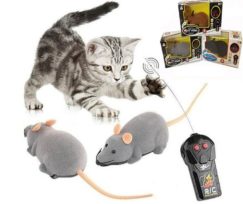 6 Weird & Unique Cats Gifts found on Amazon – Cat tested, Crazy Cat Lady Approved