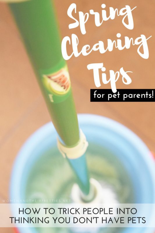 How to trick people into thinking your don't have pets – 6 Spring Cleaning Tips for Pet Parents