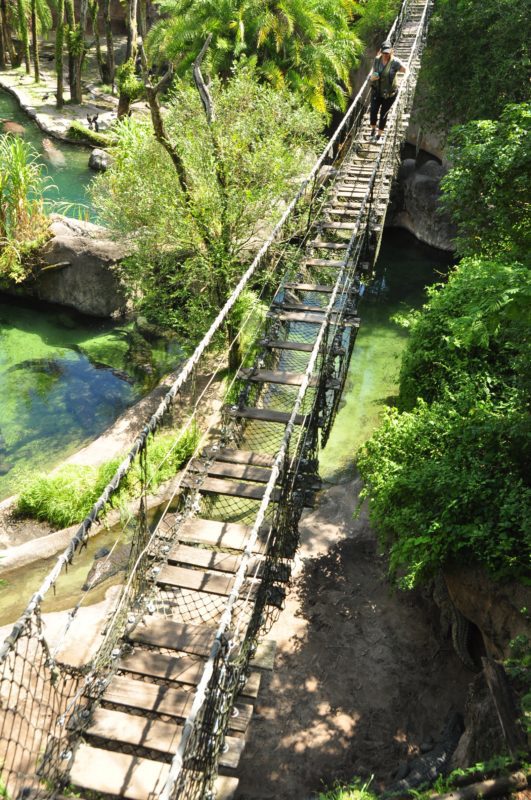 Animal Kingdom Wild Africa Trek